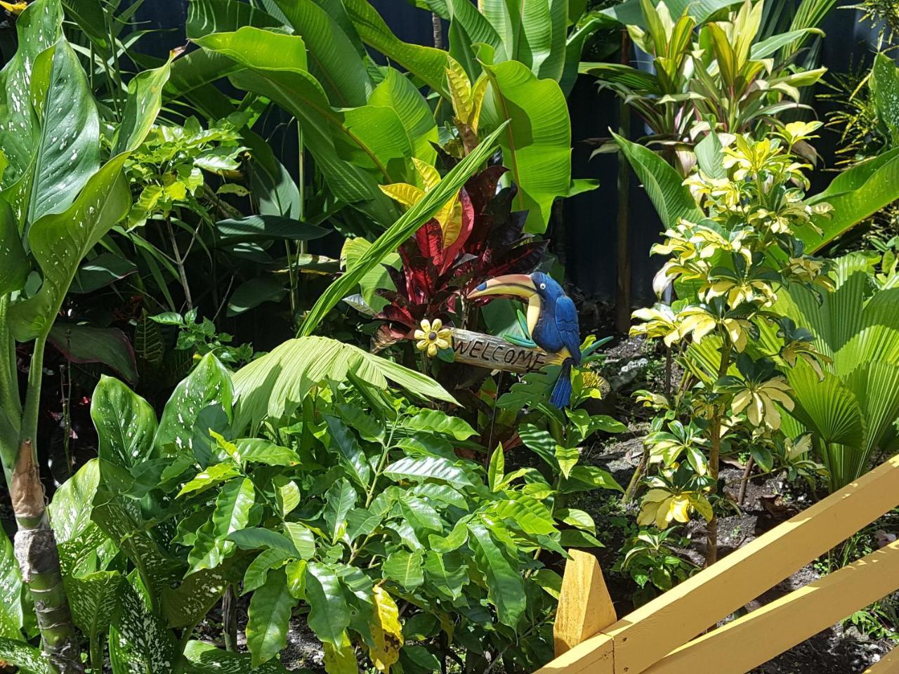 Red Frog Hotel La Fortuna Dış mekan fotoğraf